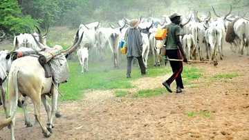 Sarkin Borgu ya dakatar da wasu manyan yan fada kan taimaka wa makiyaya