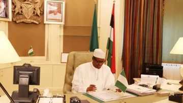 Honeymoon Over! Buhari Tagged 'Baba Go Slow'