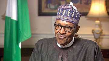 I want to make Nigeria the most beautiful place in Africa - Buhari reveals major plans for country