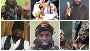 Shekau's Absence In New Video Raises Concerns