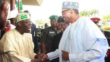 2023: Former presidential aspirant reveals how Buhari's successor will emerge