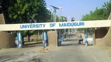 An gano wanda yayi wa kyakkyawar dalibar nan ta jami'ar Maiduguri wanka da ruwan guba