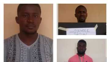 How we dupe people online, three Yahoo boys confess