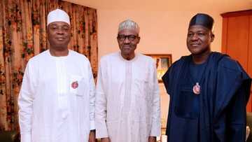Buhari meets Saraki, Dogara over Benue killings in Aso Rock