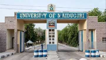 Boko Haram in trouble as UNIMAID launches resource centre to counter insurgency