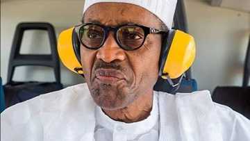 Fadar Shugaban Kasa: Ku Nishadantu da Bidiyon Shugaba Buhari Na Rera Wakar Bob Maley