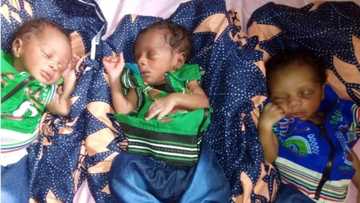 Hotunan Jarirai 'Yan 3 Maza da wata Mata ta haifa a jihar Kano