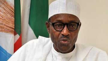 Kowa ya bi: Tsaffin tsegerun Neja-Delta sunci alwashin sai Buhari ya yi tazarce