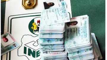 Over 500K PVCs collected as Ekiti prepares for July 14 election