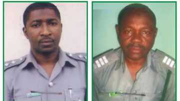 BREAKING: Customs declares two officers wanted over seized 661 pump-action rifles