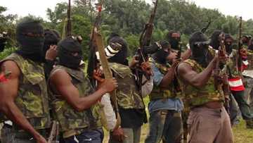 Ba zamu yarda da tsige Saraki ta karfin tuwo ba – ‘Yan fafutukar Niger Delta