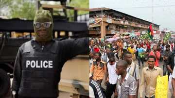 Why we did not arrest any Biafran protester - Police