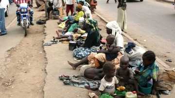 Ministan Abuja zai kori Almajirai da mabarata daga Abuja