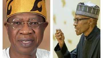 We have already started restructuring Nigeria - Lai Mohammed