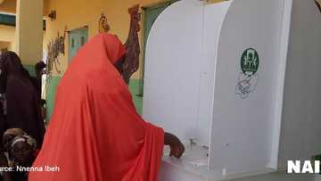 UPDATED: Voting ends as collation of results begin in FCT polls (photos)