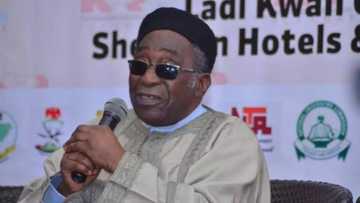 Shekara 6 Da Rasuwa: Yadda Kanawa Suka Roki Allah Ya Gafarta Wa Maitama Sule