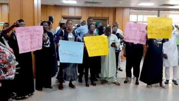 Hotuna: Daga dawowa, Zanga-zanga ya barke majalisar dokokin tarayya