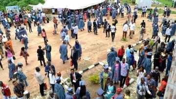 Jubilation as ASUU calls off 3-month-old strike in Ekiti university