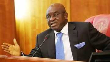 2019: David Mark ya ziyarci IBB a garin Minna
