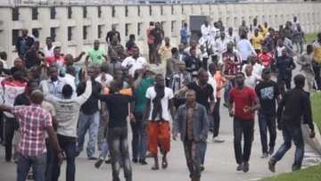 We Need To Stop Cultism In Schools - NSCPC Boss