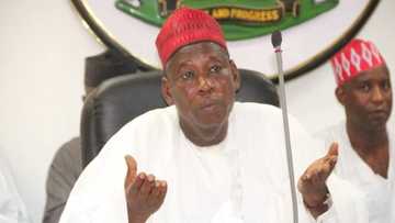 Annoba ta kashe mutane 8 a jihar kano