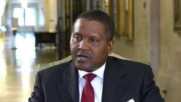 I watched my brother die, Aliko Dangote tells Bola Tinubu