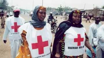 Touching: Red Cross finally reunites mother, daughter after 4-year separation by Boko Haram