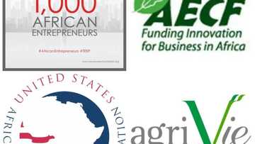 8 BIG organizations READY to give you money to start your business and how to get it (LIST)