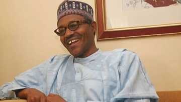 JUST IN: Buhari's 2nd term will create 20m jobs for Nigerians - FG