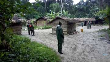 WATCH: Nigerian army heading to creeks of Niger Delta militants chanting 'one Nigeria'