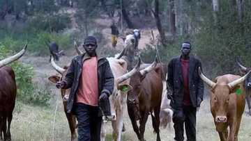 Herdsmen/farmers: NCNE decries effects of clashes on education across the country