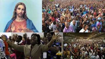 OPINION: Today’s pastors are all fake; Jesus is the only true pastor