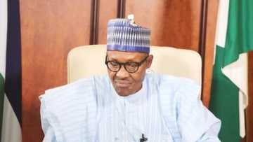 Lawyers drag Buhari, Malami to court over Executive Order 6