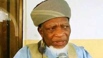 Samar da 'yan sandan jihohi wani salo ne na raba kan Najeriya - Sheikh Sani Yahaya Jingir