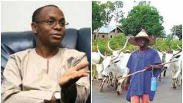 FG reveals official number of people killed in Southern Kaduna