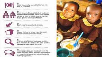 FG announces 6 strict rules guiding school feeding program