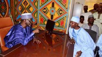 Abba Gida-Gida ya lallasa Ganduje da Takai a Mazabar Shekarau