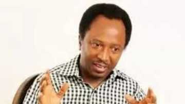 Dalilin da yasa na ci mutumcin shugaba Buhari, Sanata Shehu Sani yayi magana