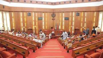 Saraki's resignation, 2016 budget in focus as NASS resumes plenary today