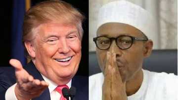 US inaugurates anti-corruption website for Nigeria