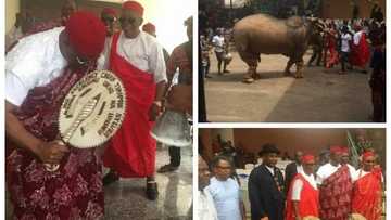 APC chieftain, Timipre Sylva gets powerful chieftaincy title in Igboland (photos)