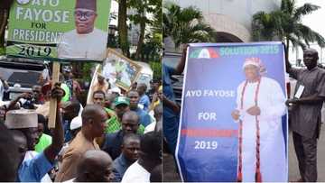 Why I want to become Nigeria's next president - Governor Fayose opens up as he officially declares for 2019 in Abuja (photos, video)
