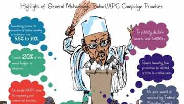 How President Buhari Has Performed In 30 Days – Assessment