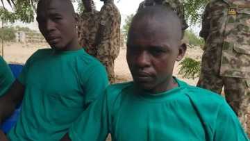 Na kera rigar bama-bamai sama da 500 ga yan Boko Haram don aiwatar da harin kunar bakin wake – Dan shekara 15