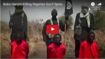 All infidels will be wiped out!: Read what Boko Haram said before executing Nigerian spies (video)
