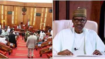 Police working to arrest those behind Benue killings - Buhari tells Senate