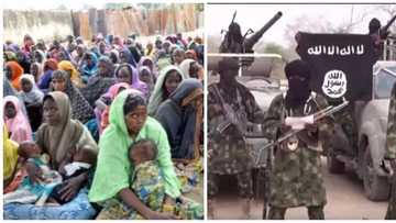 Wata Kungiyar Dalibai ta bayyana yadda za a kawo karshen rikici a yankin Arewa maso Gabashin Najeriya