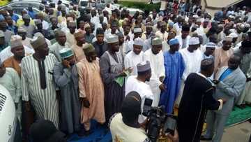 Sanannun 'yan siyasar Kano da suka bi Shekarau zuwa APC