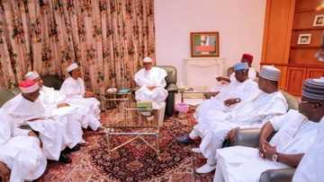 Blame governors for poverty in Nigeria, not Buhari - Envoy