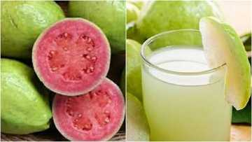 Ramadan: Amfanin Gwaiba ga mai Azumi